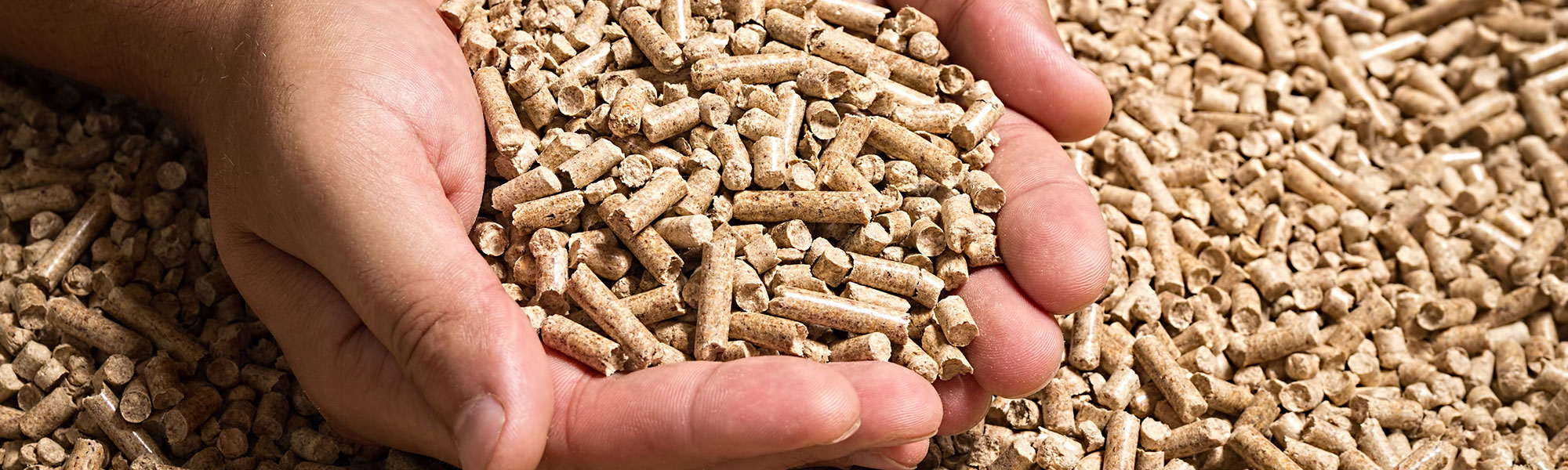 Illustration du produit : Pellets